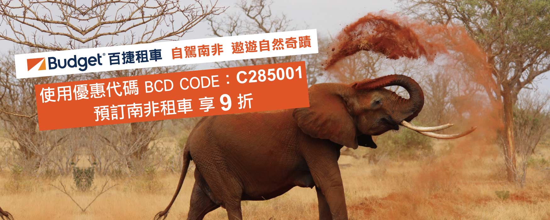 圖片敘述